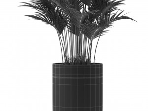Plants collection 470 Modèle 3D