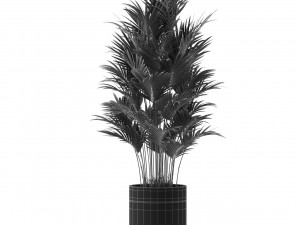 Plants collection 470 Modèle 3D