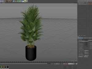 Plants collection 470 Modèle 3D