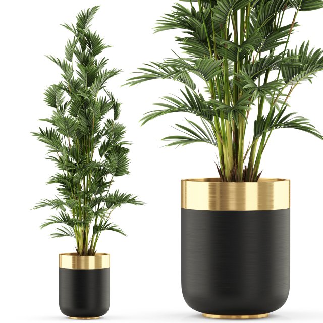 Plants collection 471 Modelo 3D .c4d .max .obj .3ds .fbx .stl .blend 