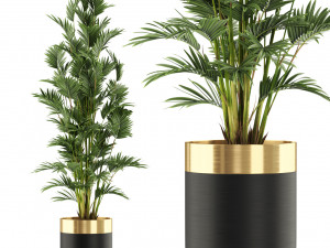 Plants collection 471 3D-Modell