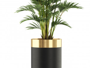 Plants collection 471 Modelo 3D