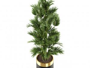 Plants collection 471 Modelo 3D