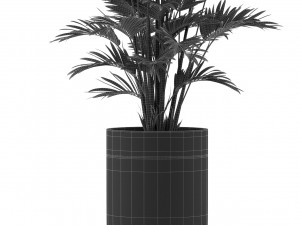 Plants collection 471 Modelo 3D