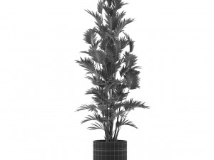 Plants collection 471 Modelo 3D