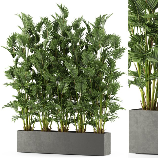 Plants collection 472 3D Model .c4d .max .obj .3ds .fbx .stl .blend 