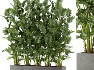Plants collection 472 3Dモデル