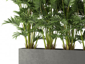 Plants collection 472 3D Model