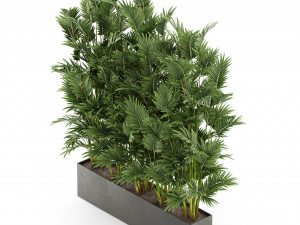 Plants collection 472 3D Model