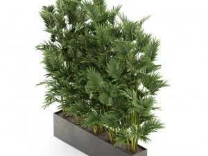 Plants collection 472 3D Model