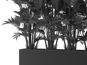 Plants collection 472 3D Model