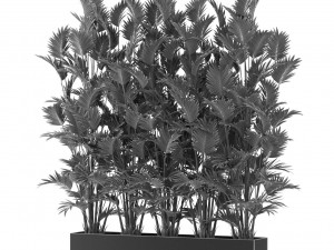 Plants collection 472 3D Model