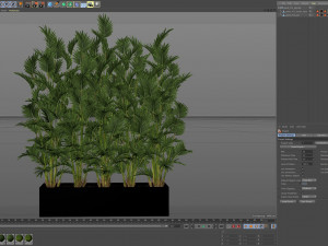 Plants collection 472 3D Model