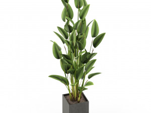 Plants collection 473 3D Model