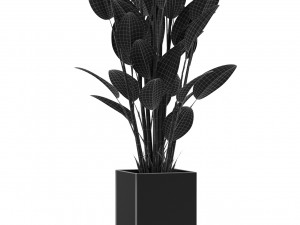 Plants collection 473 3D Model