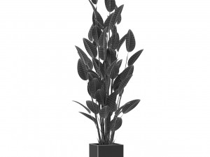 Plants collection 473 3D Model
