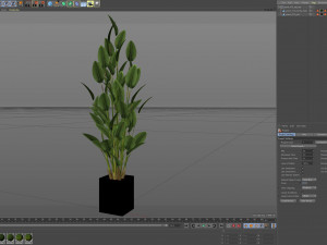 Plants collection 473 3D Model