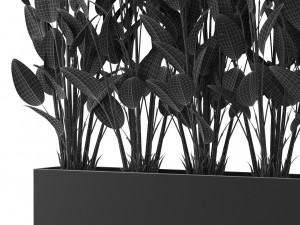 Plants collection 474 Model 3D