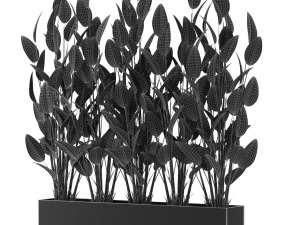 Plants collection 474 3D Model
