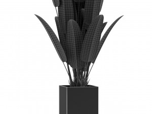 Plants collection 475 3D-Modell