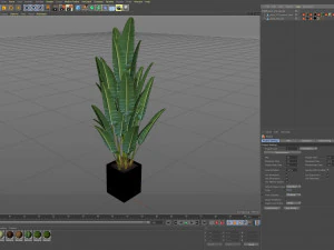 Plants collection 475 3D Model