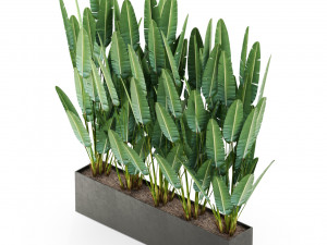 Plants collection 476 3D 模型