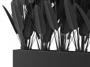 Plants collection 476 3D Model