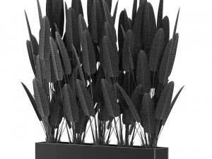 Plants collection 476 3D Model