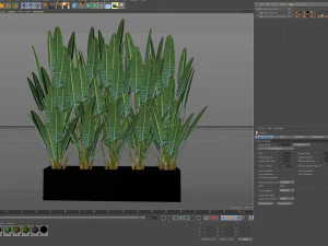 Plants collection 476 3D Model