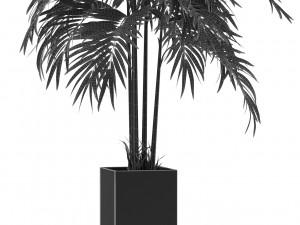 Plants collection 477 3D Model