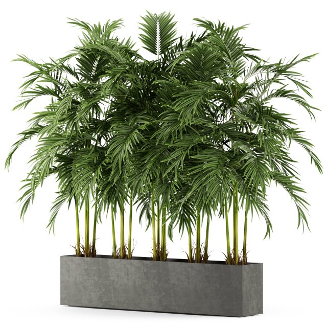 Plants collection 478 3D Model .c4d .max .obj .3ds .fbx .stl .blend 