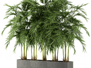 Plants collection 478 Modelo 3D