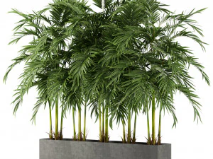 Coleção de plantas 478 Modelo 3D