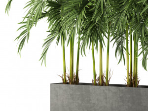 Plants collection 478 3D Model