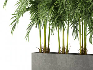 Plants collection 478 3D Model