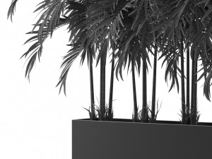 Plants collection 478 3D Model