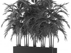 Plants collection 478 3D Model