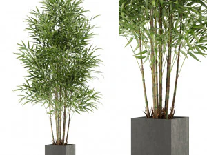 Collection de plantes 479 Modèle 3D