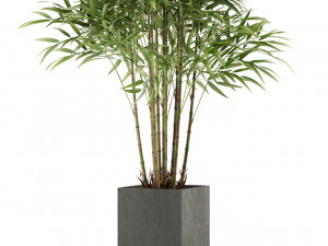 Plants collection 479 3D 모델
