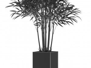 Plants collection 479 3D 모델