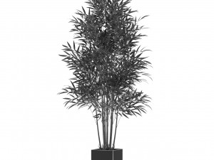 Plants collection 479 3D 모델