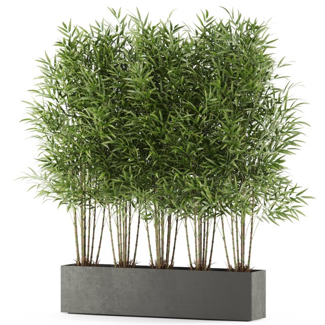 Plants collection 480 3D Model .c4d .max .obj .3ds .fbx .stl .blend 