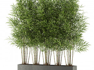 Plants collection 480 3D Model