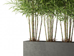 Plants collection 480 3D Model