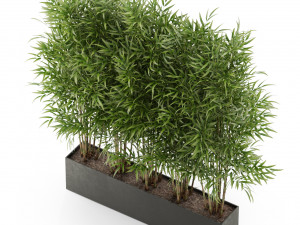 Plants collection 480 3D Model