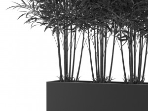 Plants collection 480 3D Model