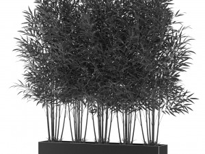Plants collection 480 3D Model