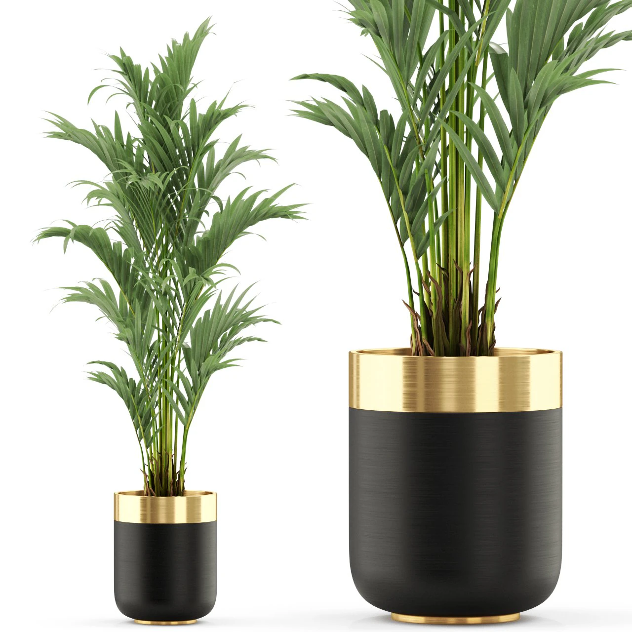 Plants collection 481 3D Model .c4d .max .obj .3ds .fbx .stl .blend