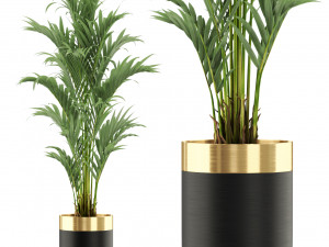 Plants collection 481 3D Model
