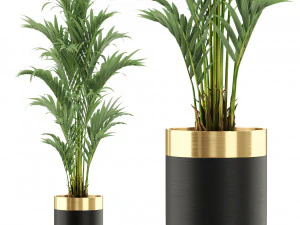 Collection de plantes 481 Modèle 3D